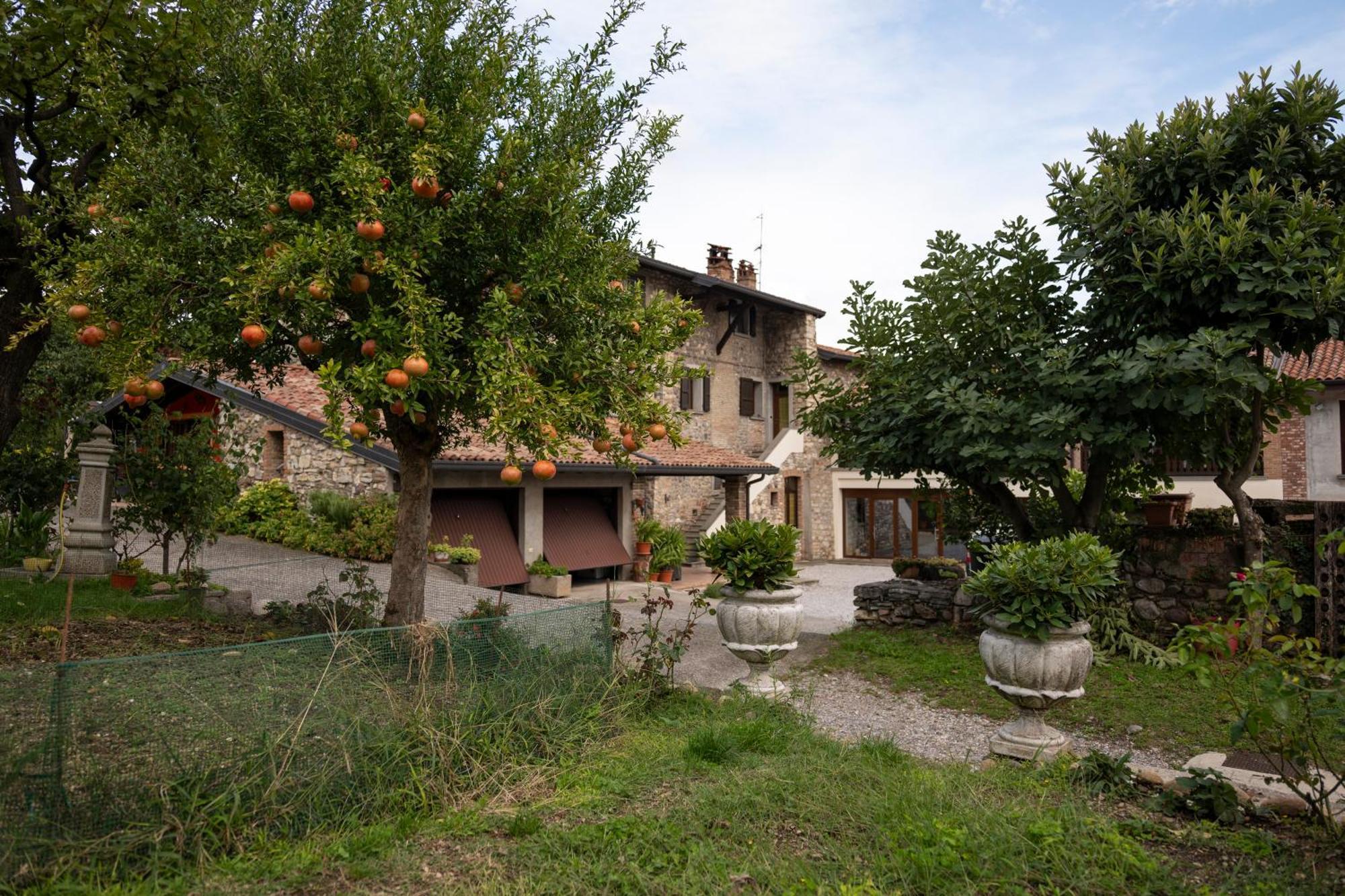 La Terrazza Sulle Vigne B&B Корте Франка Экстерьер фото