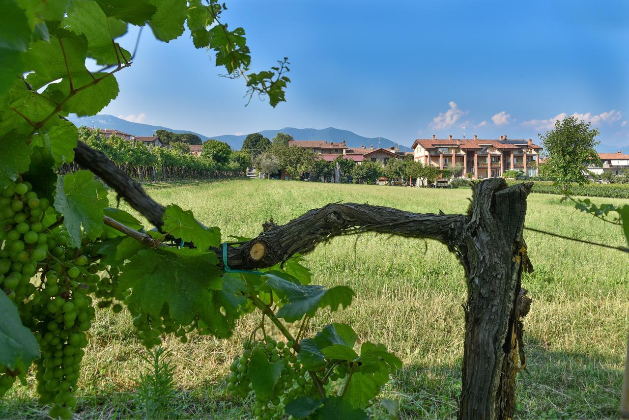 La Terrazza Sulle Vigne B&B Корте Франка Экстерьер фото
